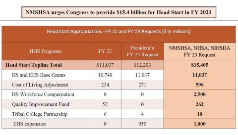 FY2023 NMSHSA Request and Federal Priorities: Table