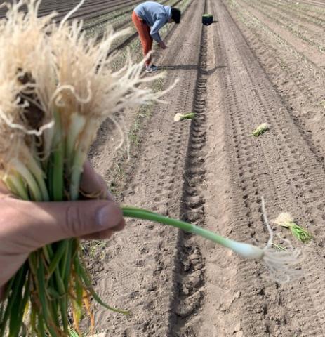 bryan-juarez-ruiz-blog4-image5